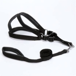Coleira Peitoral Para Cães Nylon - Preto, 2,5x120cm