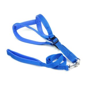 Coleira Peitoral Para Cães Nylon - Azul, 2x120cm