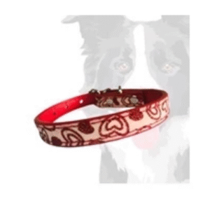 Coleira Tipo Colar para Cães - Vermelho
