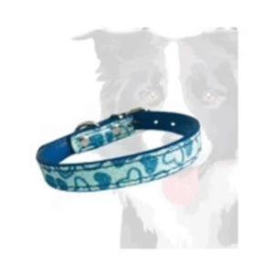 Coleira Tipo Colar para Cães - Azul