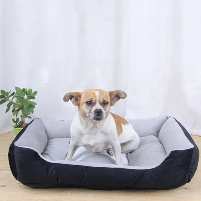 15377807157-cama-de-cachorro-4.png