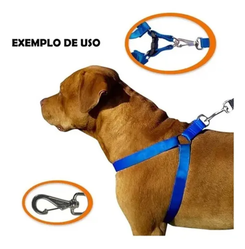 15366756141-peitoral-cachoro-azul-1.png