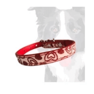 Coleira Tipo Colar para Cães - Vermelho
